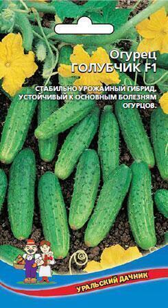 Купить оптом в Ботанике семена Огурец Голубчик F1 УД бренд Уральский дачник