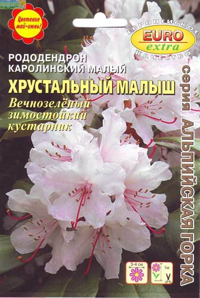 Купить оптом в Ботанике семена Рододендрон Хрустальный малыш БП Аэл бренд Аэлита