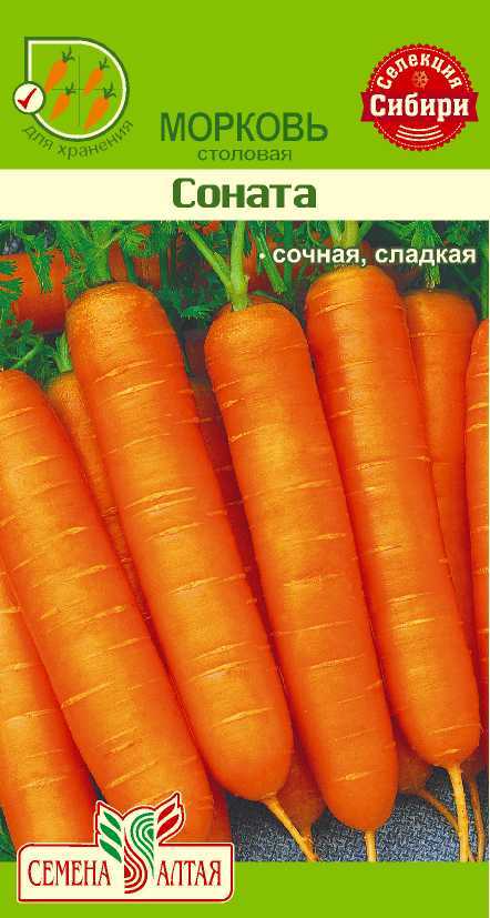 Купить оптом в Ботанике семена Морковь Соната СА бренд Семена Алтая