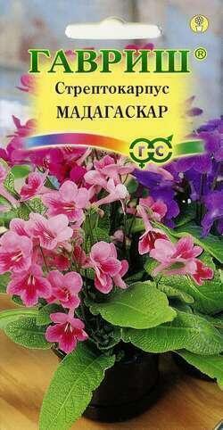 Купить оптом в Ботанике семена Стрептокарпус Мадагаскар гибридный Гав бренд Гавриш