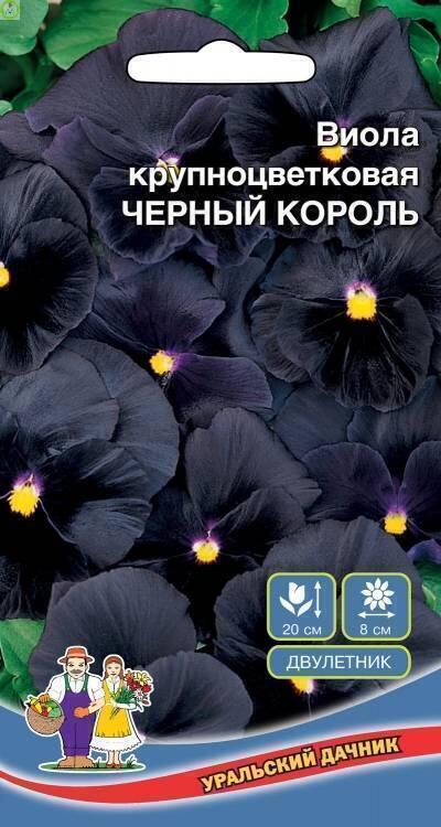 Купить оптом в Ботанике семена Виола Черный король УД бренд Уральский дачник