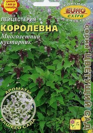 Купить оптом в Ботанике семена Лейцестерия Королевна* Аэл бренд Аэлита