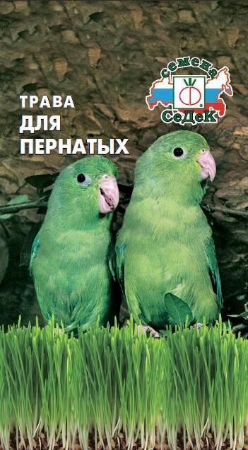 Купить оптом в Ботанике семена Трава для пернатых Сед бренд СеДеК