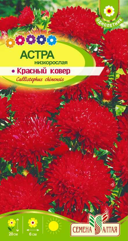 Купить оптом в Ботанике семена Астра Ковер красный СА бренд Семена Алтая