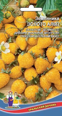 Купить оптом в Ботанике семена Земляника Золото Альп альпийская УД бренд Уральский дачник