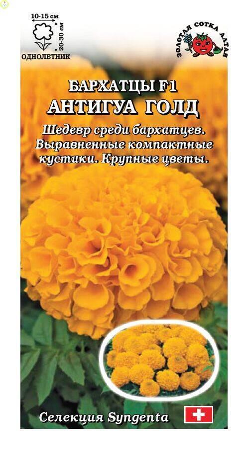 Купить оптом в Ботанике семена Бархатцы Антигуа Голд F1 ЗС бренд Золотая сотка