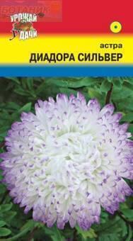 Купить оптом в Ботанике семена Астра Диадора Сильвер УУ бренд Урожай Удачи