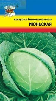Купить оптом в Ботанике семена Капуста белокочанная Июньская УУ бренд Урожай Удачи
