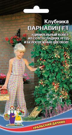 Купить оптом в Ботанике семена Земляника Варнавин F1 УД бренд Уральский дачник