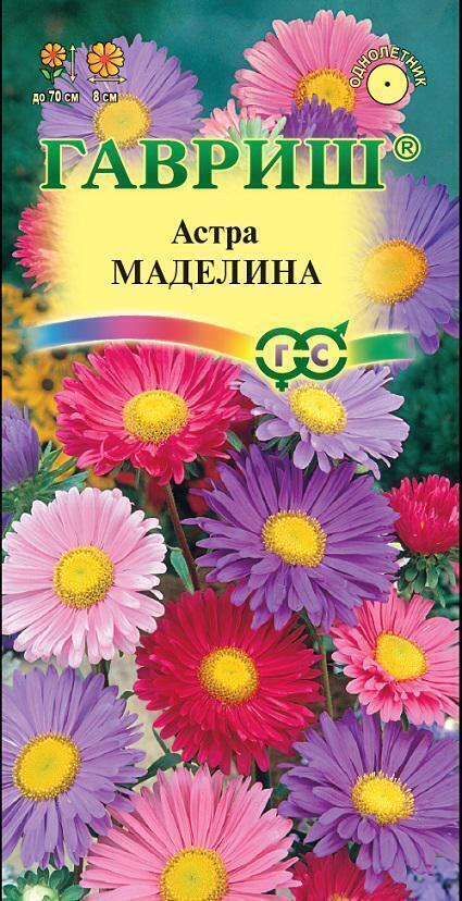 Купить оптом в Ботанике семена Астра Маделина смесь Гав бренд Гавриш