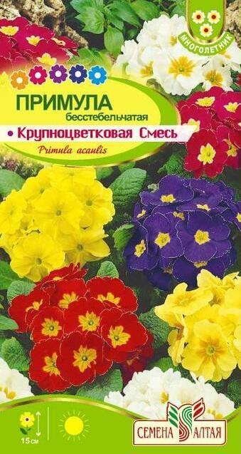Купить оптом в Ботанике семена Примула Крупноцветковая смесь СА бренд Семена Алтая