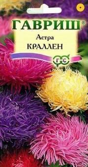 Купить оптом в Ботанике семена Астра Краллен смесь Гав бренд Гавриш