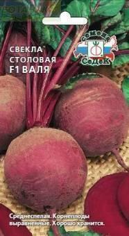 Купить оптом в Ботанике семена Свекла Валя Сед бренд СеДеК