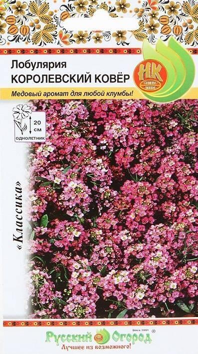 Купить оптом в Ботанике семена Лобулярия Королевский Ковер НК бренд НК