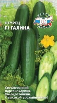 Купить оптом в Ботанике семена Огурец Галина F1 Сед бренд СеДеК