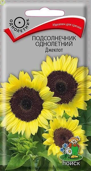 Купить оптом в Ботанике семена Подсолнечник декор. Джекпот Поиск бренд Поиск