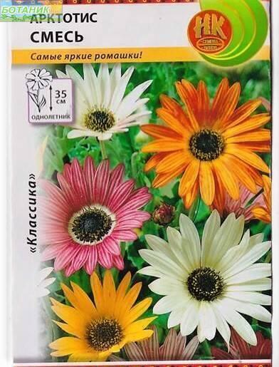 Купить оптом в Ботанике семена Арктотис смесь НК бренд НК