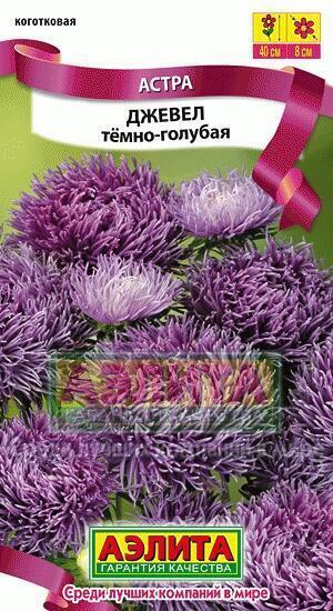 Купить оптом в Ботанике семена Астра Джевел темно-голубая Аэл бренд Аэлита