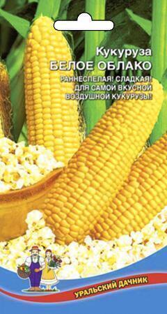 Купить оптом в Ботанике семена Кукуруза Белое облако УД бренд Уральский дачник