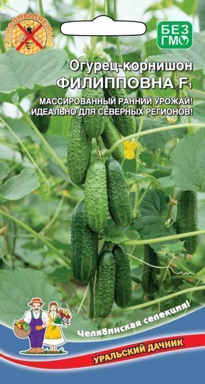Купить оптом в Ботанике семена Огурец Филипповна F1 УД бренд Уральский дачник
