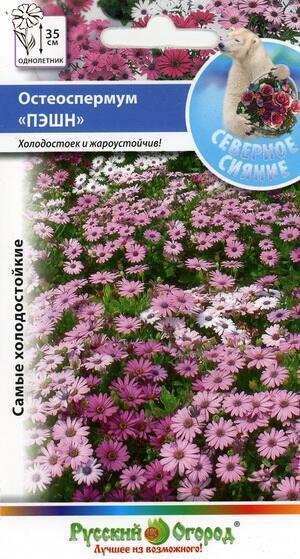 Купить оптом в Ботанике семена Остеоспермум Пэшн смесь НК бренд НК