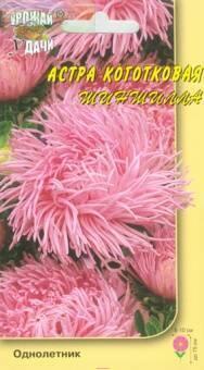 Купить оптом в Ботанике семена Астра Шиншилла УУ бренд Урожай Удачи
