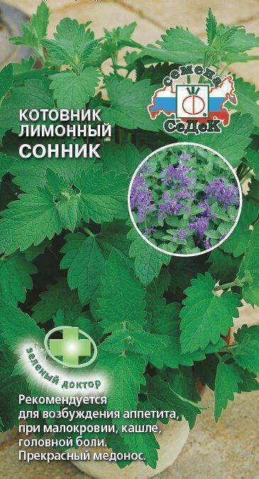 Купить оптом в Ботанике семена Котовник Сонник Сед бренд СеДеК