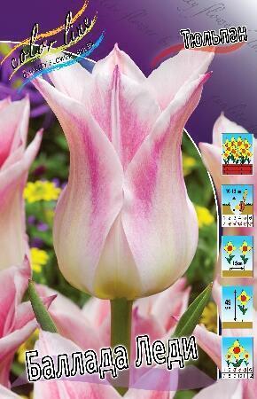 Купить оптом в Ботанике Тюльпан Баллада Леди 10 шт