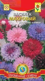Купить оптом в Ботанике семена Василек Махровая смесь Плз бренд Плазмас