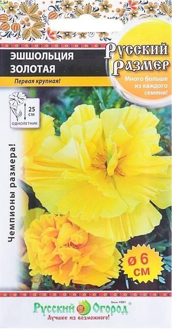 Купить оптом в Ботанике семена Эшшольция Золотая Русский размер НК бренд НК