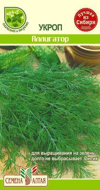 Купить оптом в Ботанике семена Укроп Аллигатор СА бренд Семена Алтая