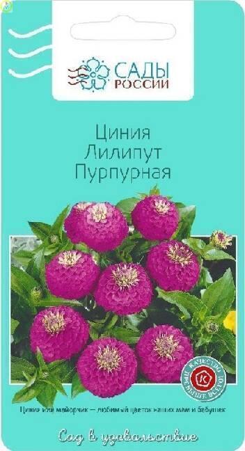 Купить оптом в Ботанике семена Цинния Лилипут пурпурная СиО бренд Сад и огород