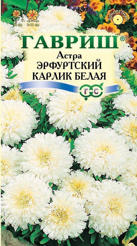 Купить оптом в Ботанике семена Астра Эрфуртский карлик белая Гав бренд Гавриш