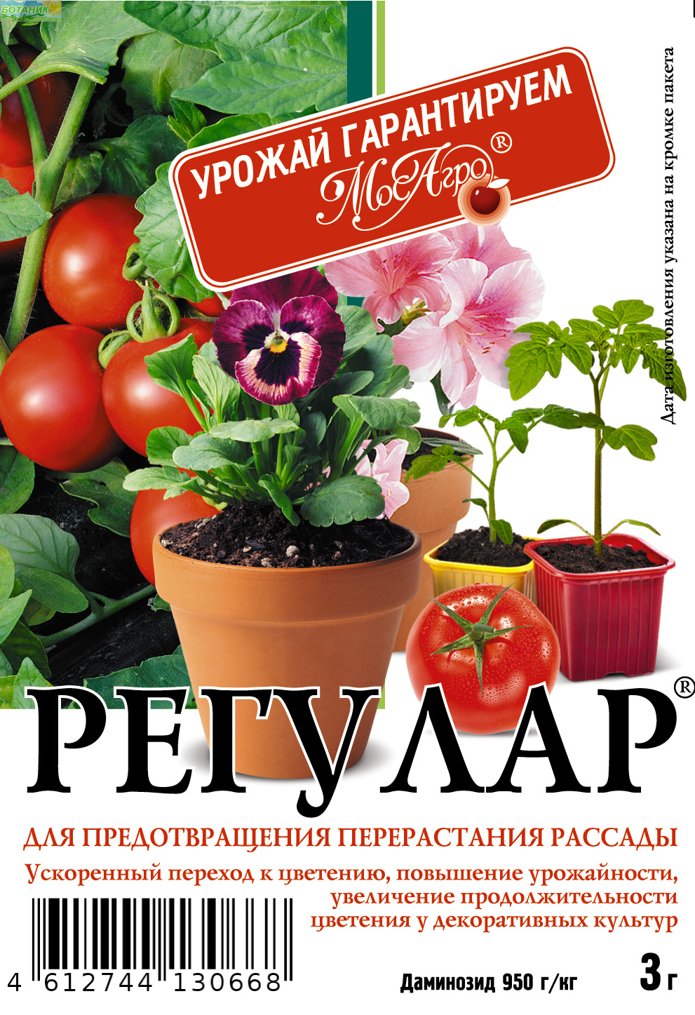 Купить оптом в Ботанике Регулар 3 г (250)