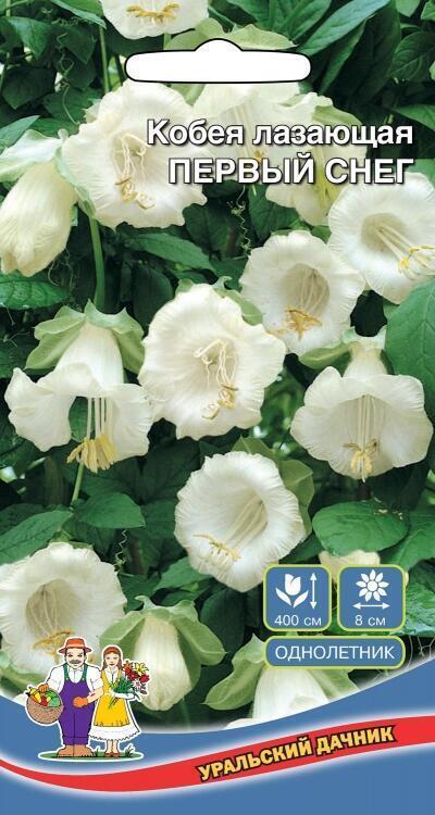 Купить оптом в Ботанике семена Кобея Первый снег УД бренд Уральский дачник