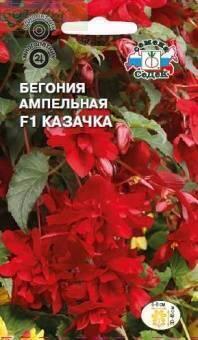 Купить оптом в Ботанике семена Бегония Казачка F1 Сед бренд СеДеК