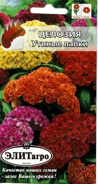Купить оптом в Ботанике семена Целозия Утиные лапки Аэл бренд Аэлита