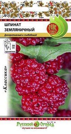 Купить оптом в Ботанике семена Шпинат Земляничный НК бренд НК