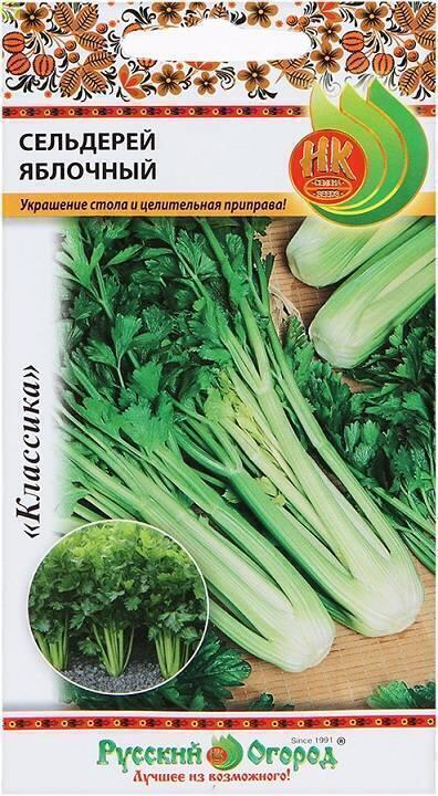 Купить оптом в Ботанике семена Сельдерей Яблочный НК бренд НК