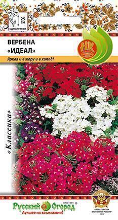 Купить оптом в Ботанике семена Вербена Идеал смесь НК бренд НК