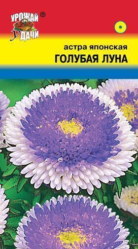 Купить оптом в Ботанике семена Астра Голубая луна японская УУ бренд Урожай Удачи