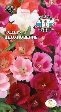 Купить оптом в Ботанике семена Годеция Вдохновение Сед бренд СеДеК