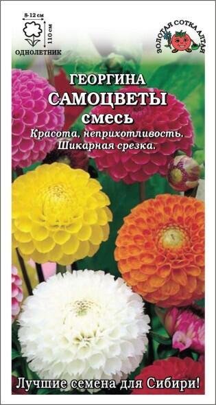 Купить оптом в Ботанике семена Георгина Самоцветы шаровидная ЗС бренд Золотая сотка