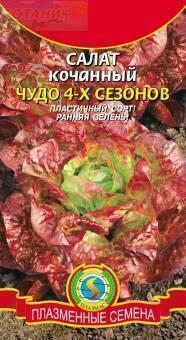 Купить оптом в Ботанике семена Салат Чудо 4 сезонов Плз бренд Плазмас