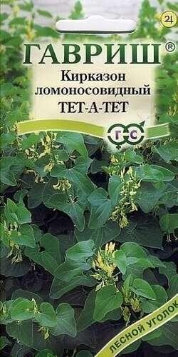 Купить оптом в Ботанике семена Кирказон Тет-а-тет Гав бренд Гавриш