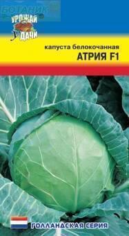 Купить оптом в Ботанике семена Капуста белокочанная Атрия F1 УУ бренд Урожай Удачи