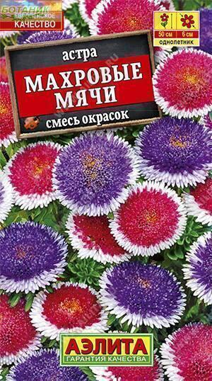 Купить оптом в Ботанике семена Астра Махровые мячи смесь Аэл бренд Аэлита