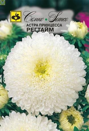 Купить оптом в Ботанике семена Астра Регтайм принцесса Сем бренд Семко