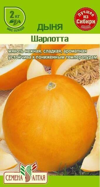 Купить оптом в Ботанике семена Дыня Шарлотта СА бренд Семена Алтая