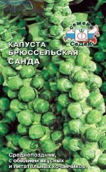 Купить оптом в Ботанике семена Капуста брюссельская Санда Сед бренд СеДеК